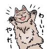 小谷ぬん