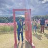 itaru gallery