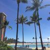 HawaiiLife