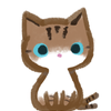 猫宮麿