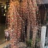 四柱推命〜暖鳳〜