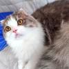 あーこっち