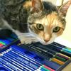 ねこ工房