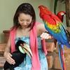 Sawai Tomomi