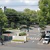 弥生33