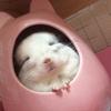 こころのとなり
