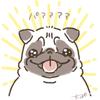 ちっぽ。