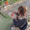 わかちゃ