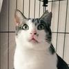 タケダマユコ