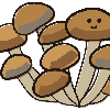 wholesome potato
