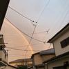 むぎこ0627