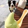 ともちん☆彡