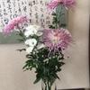 あかりともこ