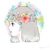 Hana0000o