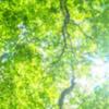 小さな宇宙