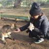 ひーこ＠ミソフォニア
