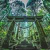 陰陽・古神道占い★聖龍堂