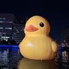 かまだーる