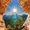 たぬちょ