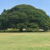 CHISAhana