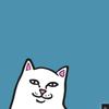 Shopan