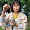 人生七転び八起き