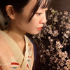 多治見茉莉花