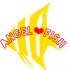 Angelfish2