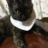 naoko0410