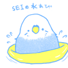 mocoもこ