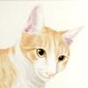 Cait Sith