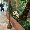 thesunrise38