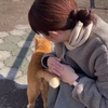 うみ｜デザイン