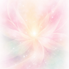 Felicite⭐︎lotus