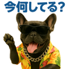 ペロとはやと