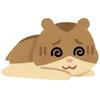 なにゃ。
