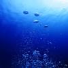 blue123