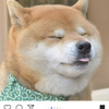 ふねさん