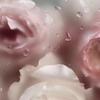 ひじきんぐo