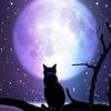 moonpower