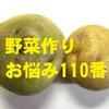 organic1