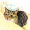 ごんねこ工房