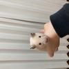 てっこはっこ