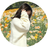momo_Creator