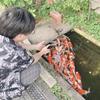 携帯コンサルタント　ハヤシ