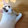 ぽーサん