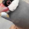 のびしろ