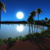 Moon Light Oasis