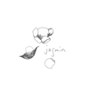 Jas3in