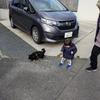 トネコ
